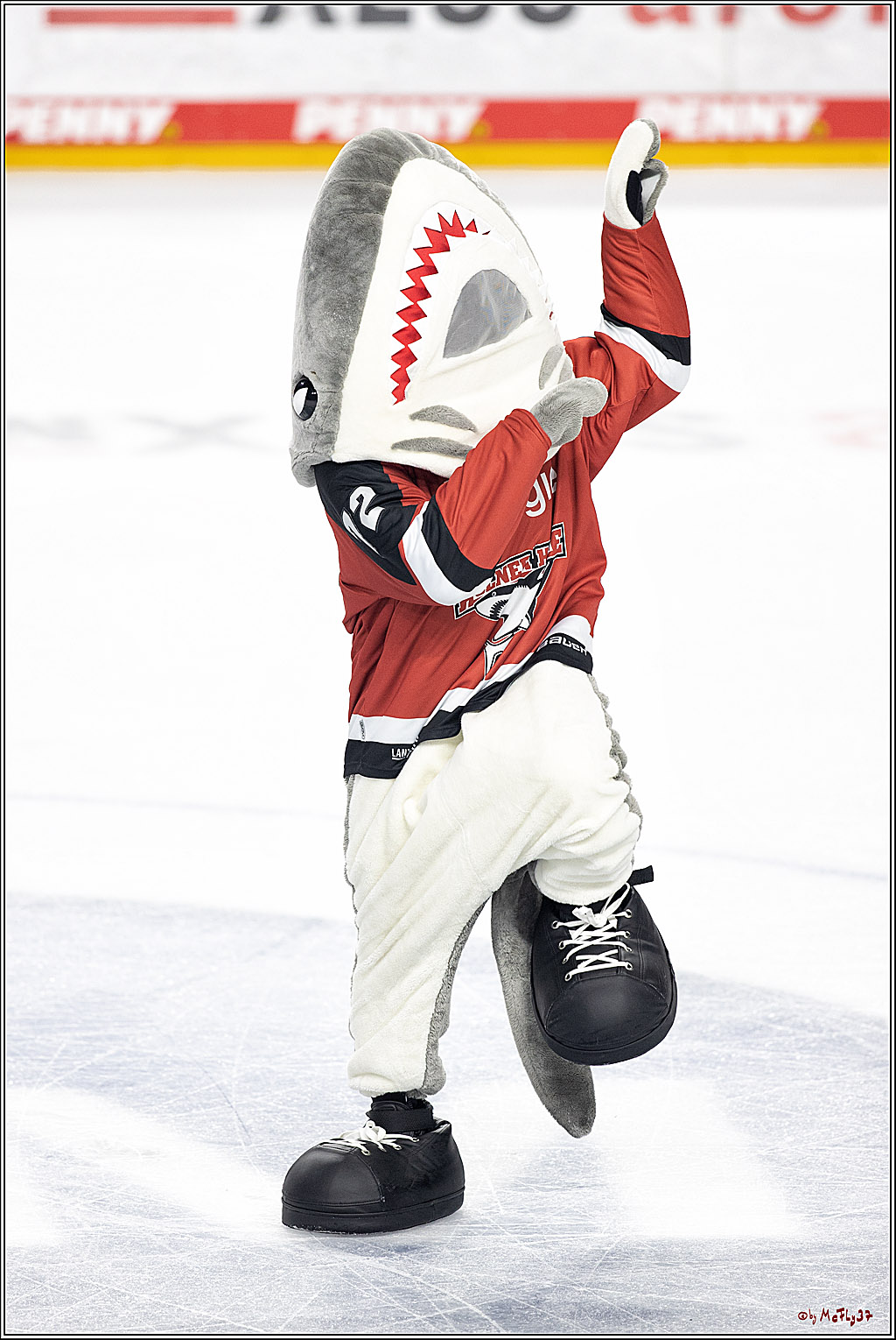 PENNY DEL;  Koelner Haie - Krefeld Pinguine; Koeln, 31.10.2021